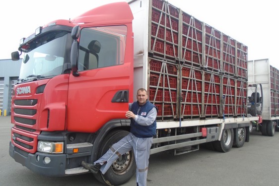 Chauffeur Vif 2