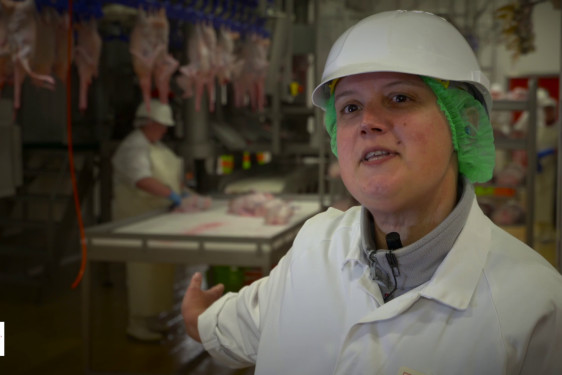 Opérateur Abattoir 2