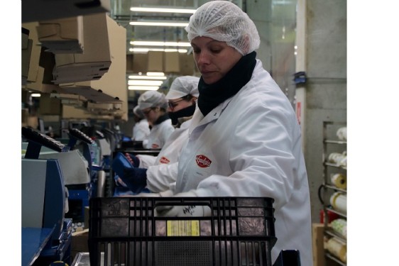 Opérateur compostage Le Gaulois 