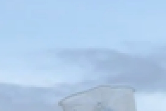 Coordinateur environnement