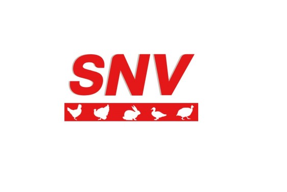 SNV - Logo